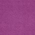 Shaggy fuchsia